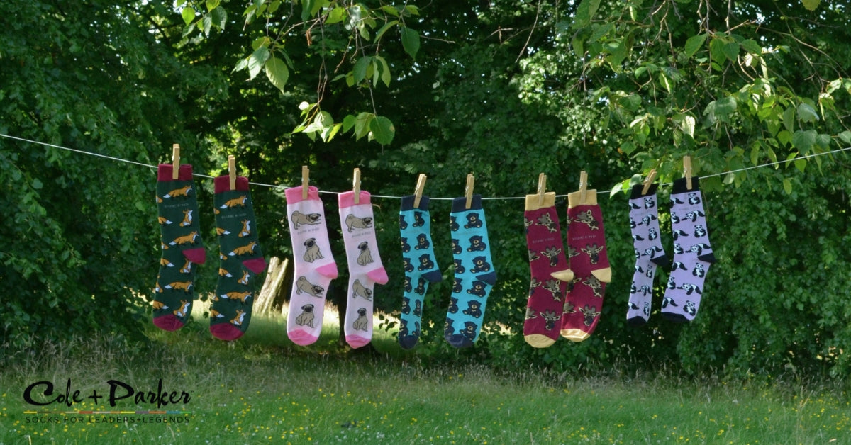 Not All Cotton is Created Equal: Why Combed Cotton Socks Win Every Time