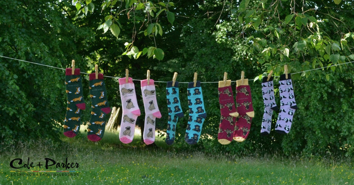 Not All Cotton is Created Equal: Why Combed Cotton Socks Win Every Time